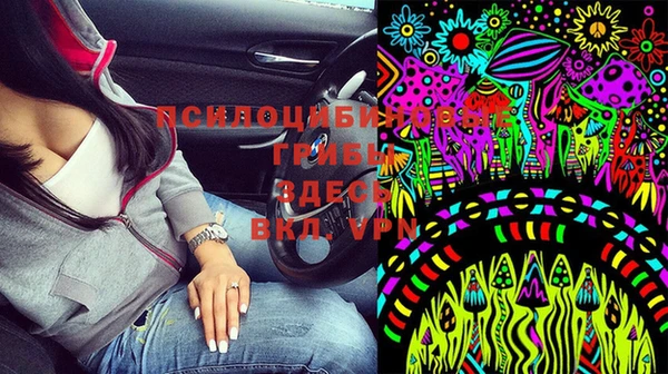 мдма Богородицк