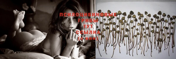 мдма Богородицк