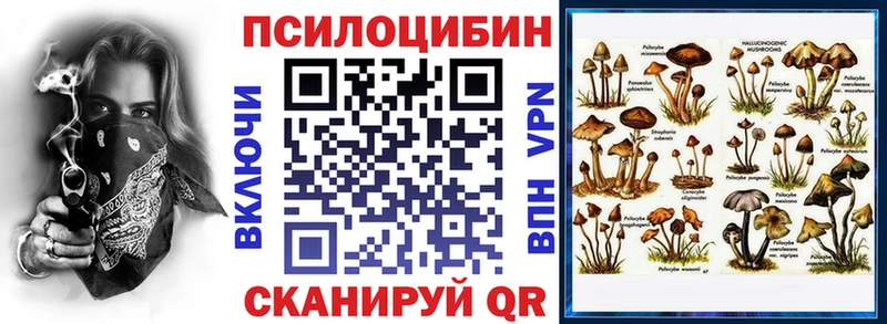 Псилоцибиновые грибы Psilocybine cubensis  darknet наркотические препараты  Плёс 